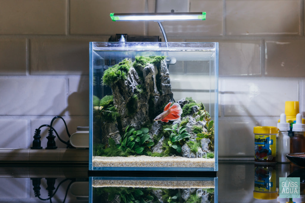 Glass vs. Acrylic Aquarium: What Is the Difference? - Fish Tanks Direct