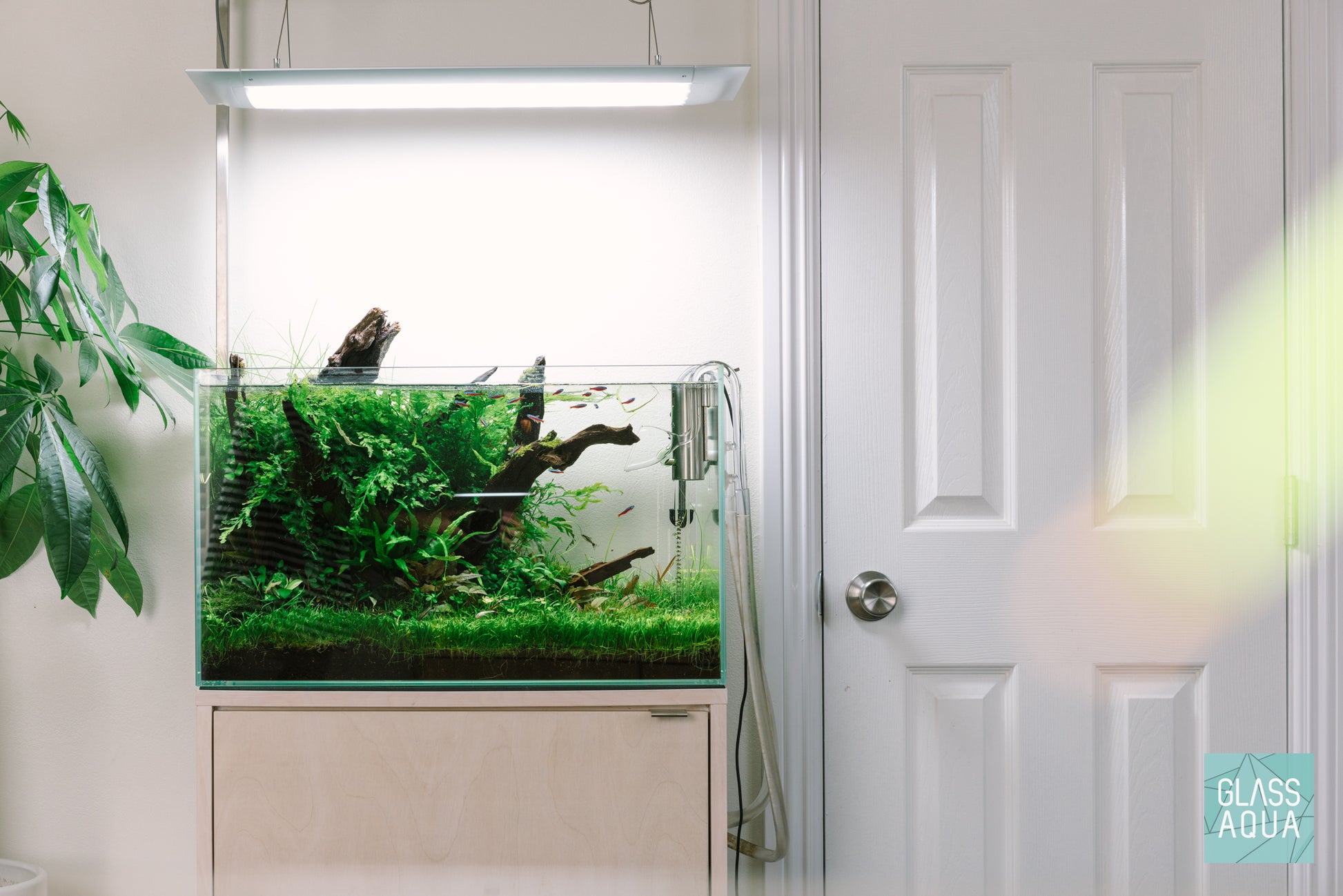 UNS Rimless Standard Glass Aquarium Tank - Glass Aqua