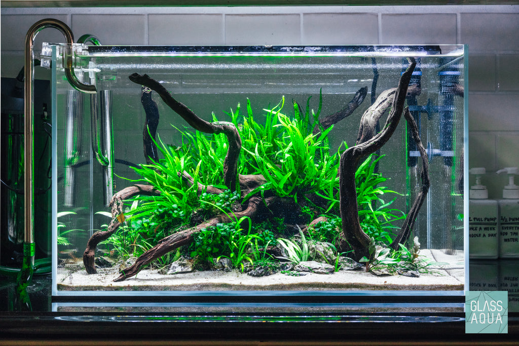 The Selection and Placement Requirements of Aquarium Rock Decor.