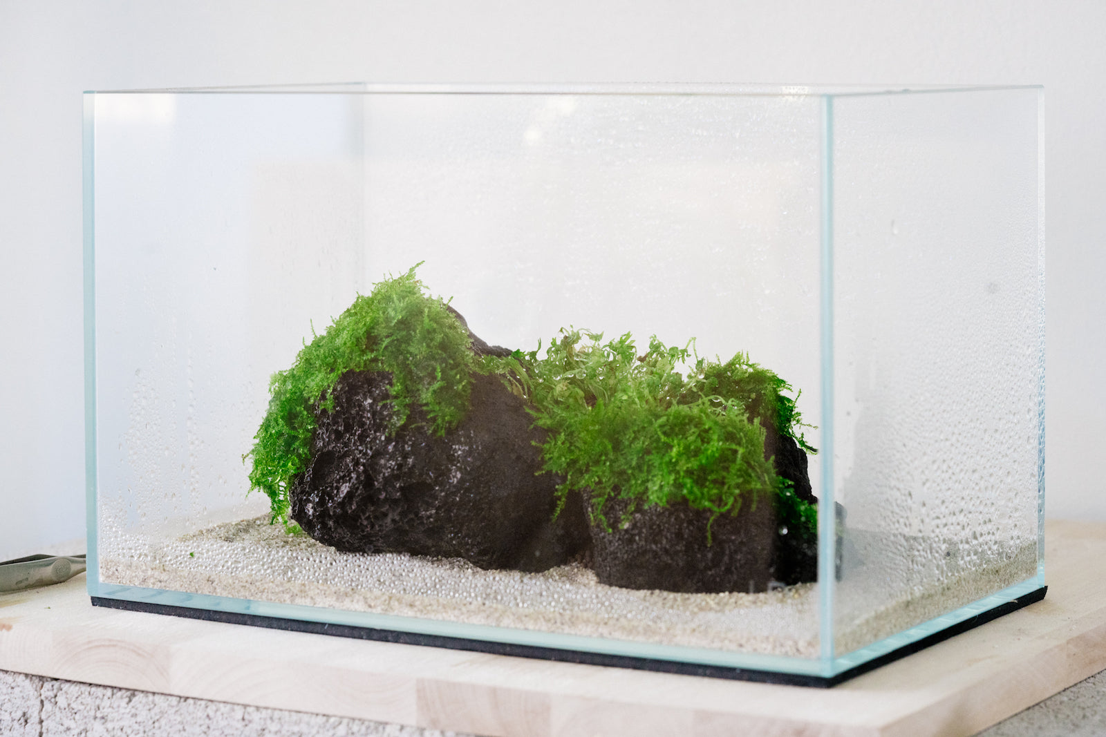 Black Lava Rock Popular Aquascaping Hardscape Rock for Planted Tank