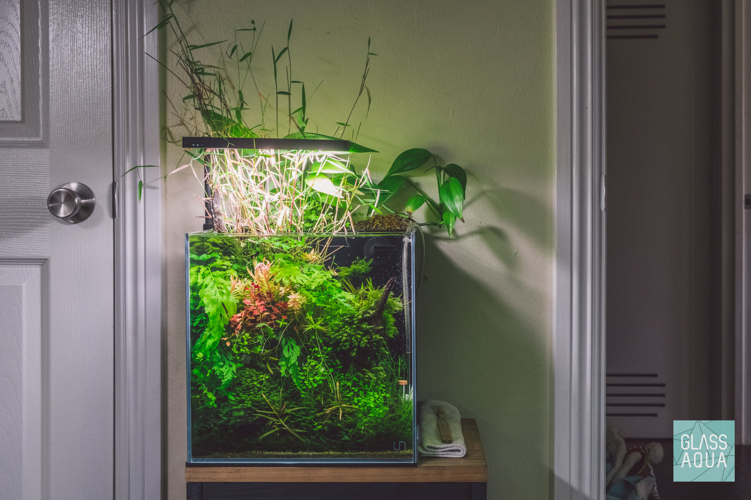 Pacific Wood - Glass Aqua