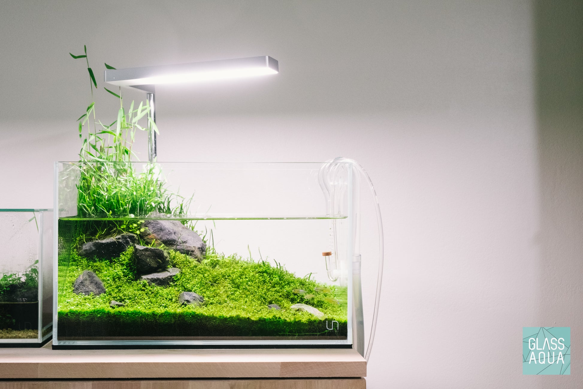 Marfied x UNS Controsoil Planted Aquarium Tank Aquatic Plant Substrate