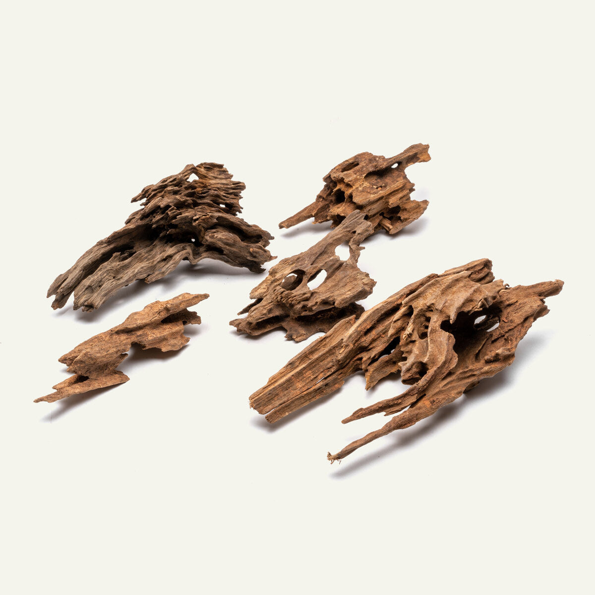 Shop Planted Aquarium Dragon Wood Hardscape - Glass Aqua