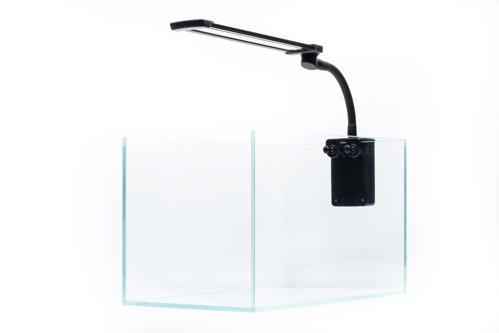 Shop Dymax Flexz Nano LED Light Lighting - Glass Aqua