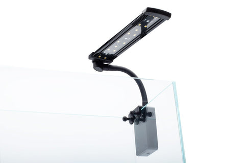 Shop Dymax Flexz Nano LED Light Lighting - Glass Aqua