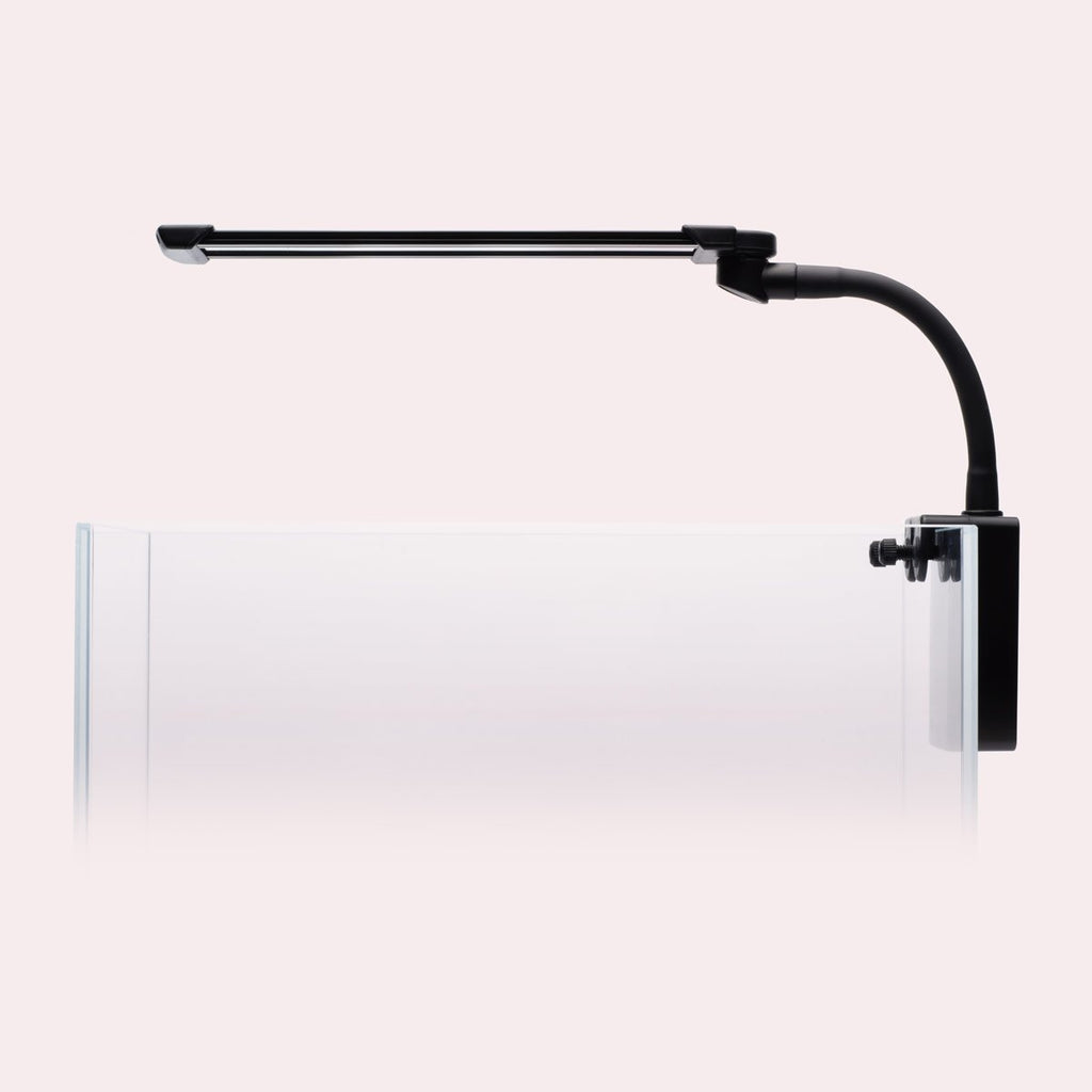Shop Dymax Flexz Nano LED Light Lighting - Glass Aqua