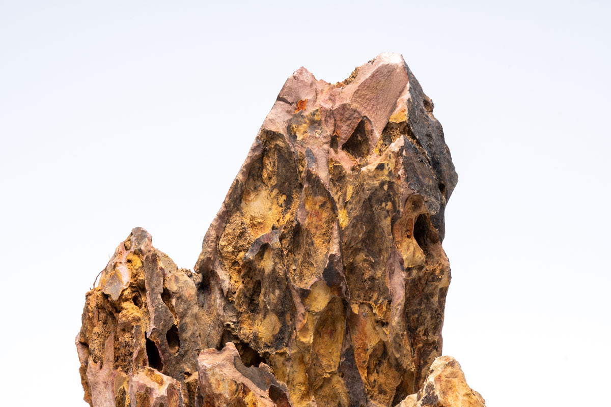 Flat Bottom Dragon Ohko Stone Planted Aquarium Tank Hardscape