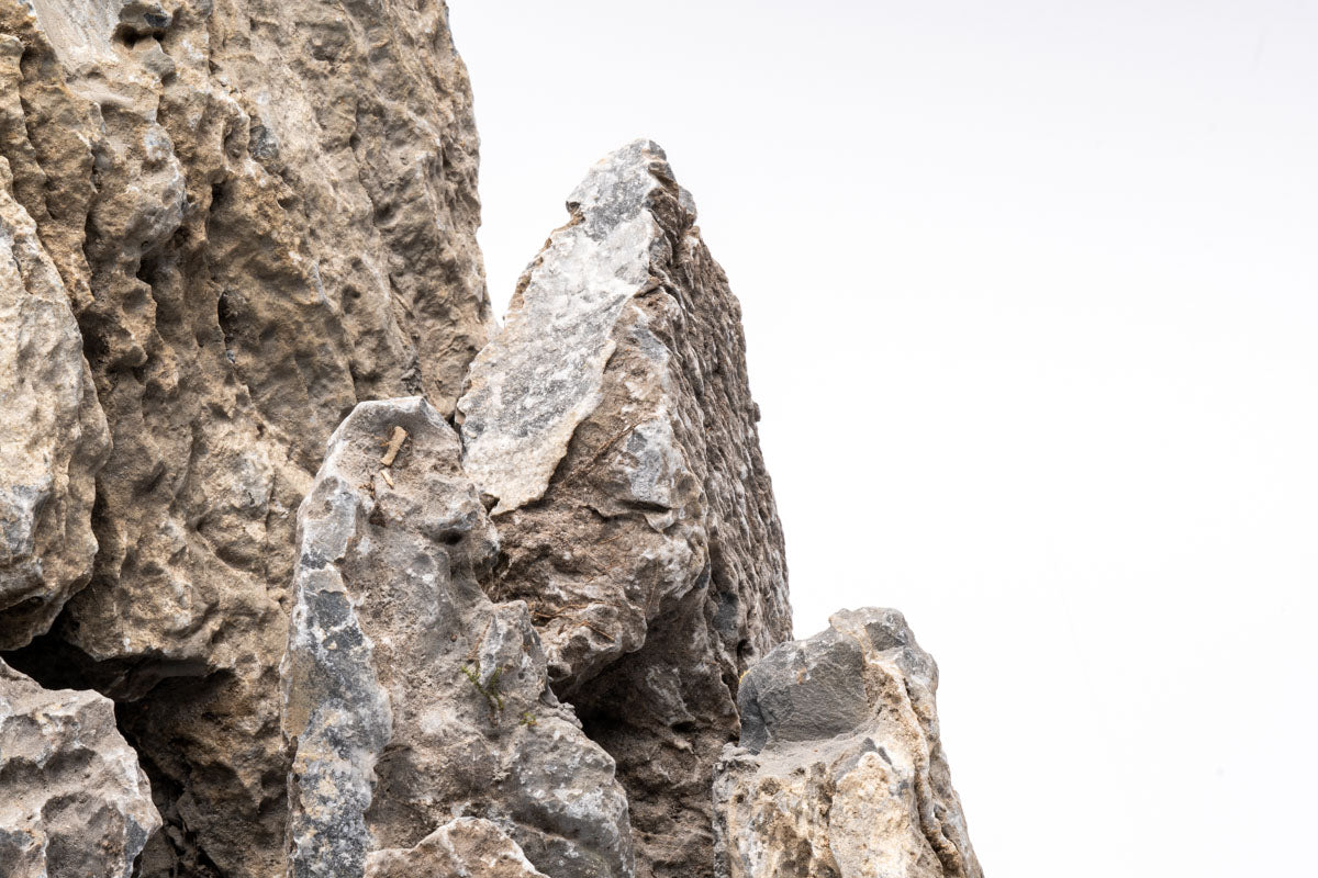 Flat Bottom Seiryu Stone Planted Aquarium Tank Hardscape