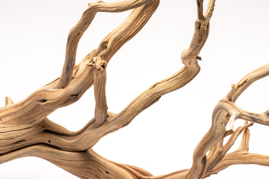 Ghost Wood Driftwood for Planted Aquarium Tank, Terrarium and Vivarium
