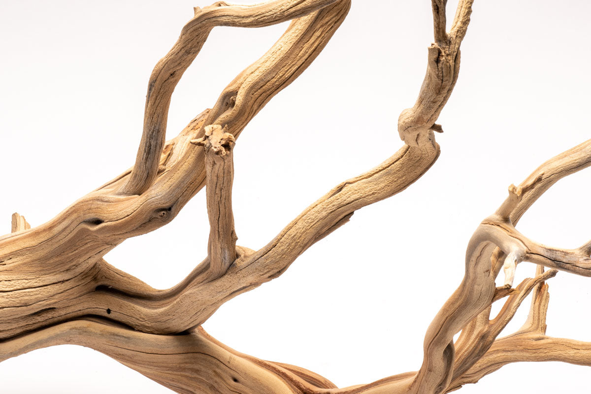 Ghost Wood Driftwood for Planted Aquarium Tank, Terrarium and Vivarium