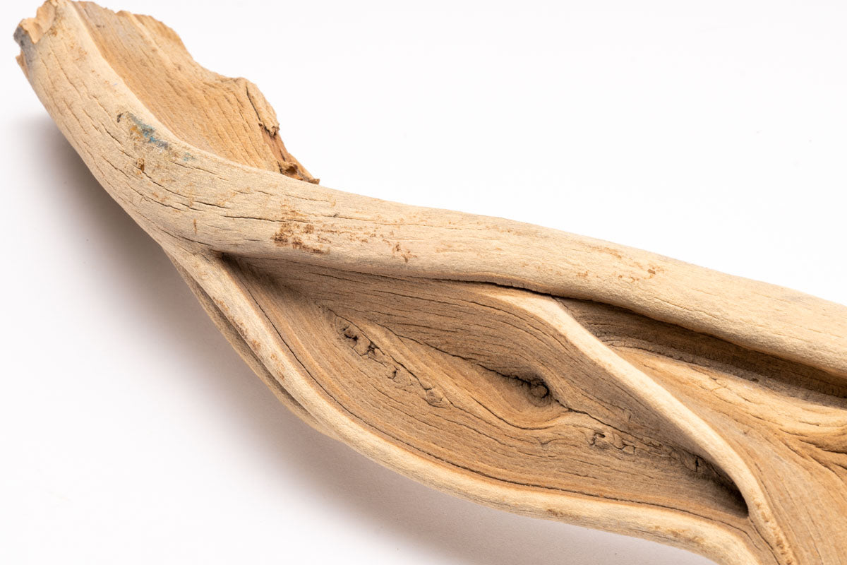 Ghost Wood Driftwood for Planted Aquarium Tank, Terrarium and Vivarium
