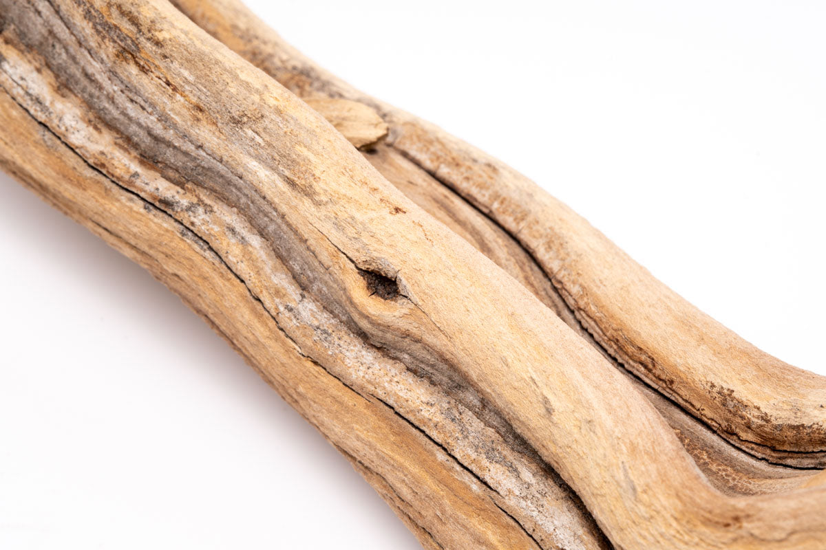 Ghost Wood Driftwood for Planted Aquarium Tank, Terrarium and Vivarium