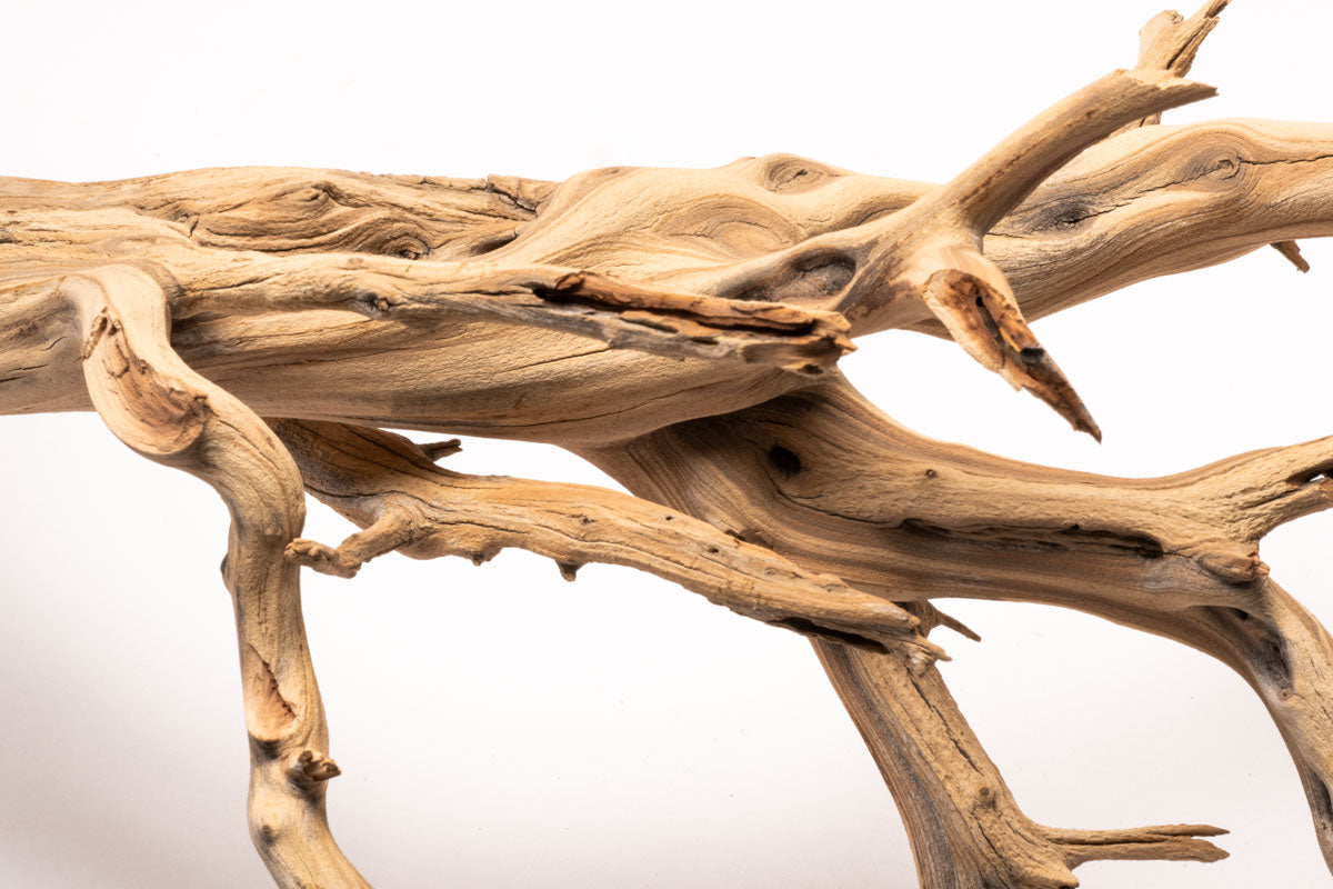 Ghost Wood Driftwood for Planted Aquarium Tank, Terrarium and Vivarium