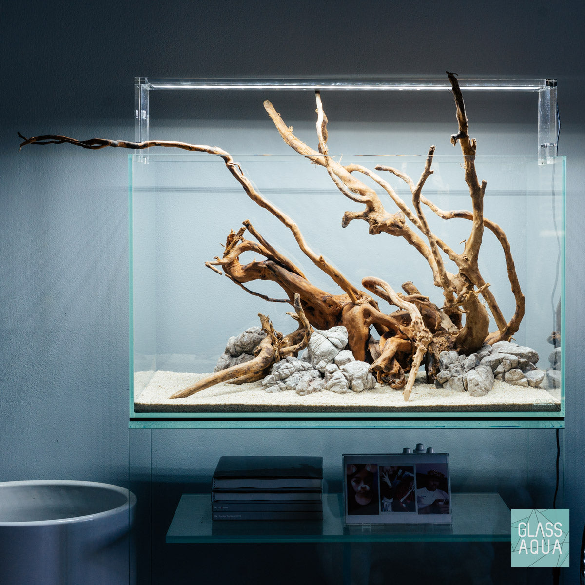 Spiderwood – Manhattan Aquariums
