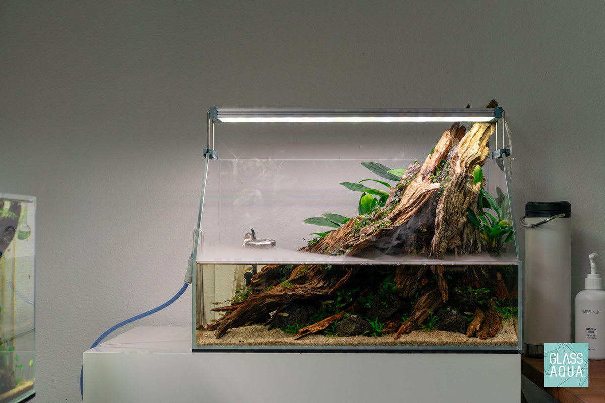 Ultum Nature Systems Paludarium Starter Kit | Shop Tank Bundles - Glass Aqua