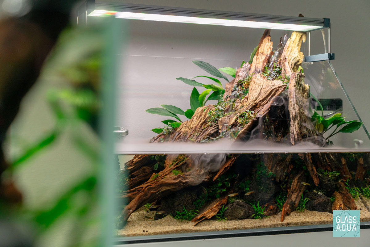 Ultum Nature Systems Paludarium Starter Kit | Shop Tank Bundles - Glass Aqua