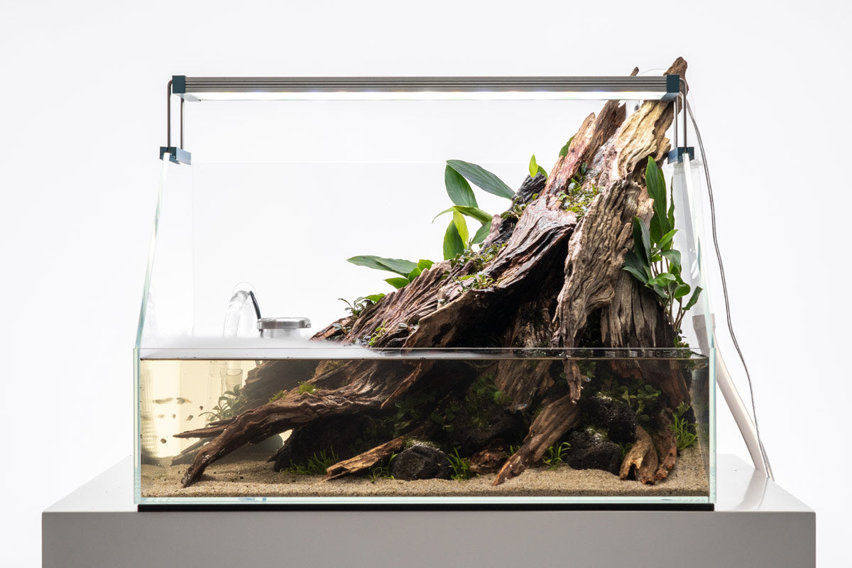 Ultum Nature Systems Paludarium Starter Kit | Shop Tank Bundles - Glass Aqua