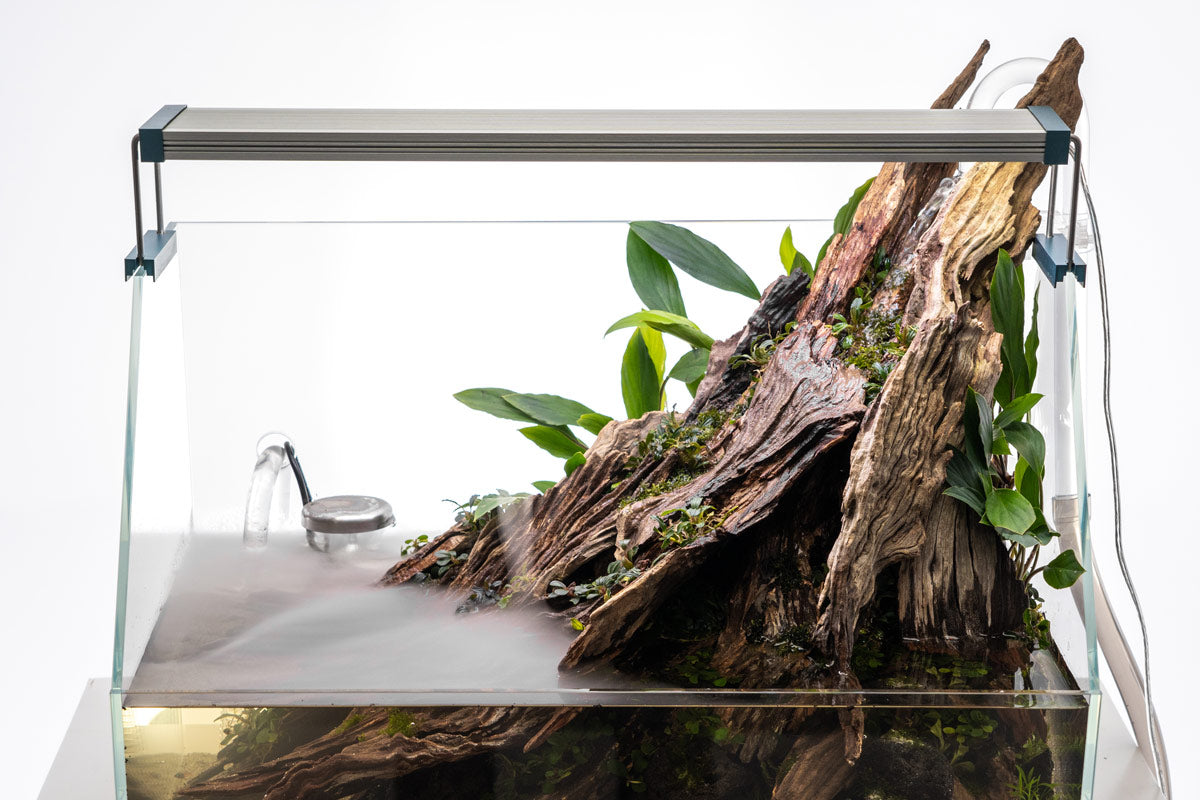 Ultum Nature Systems Paludarium Starter Kit | Shop Tank Bundles - Glass Aqua