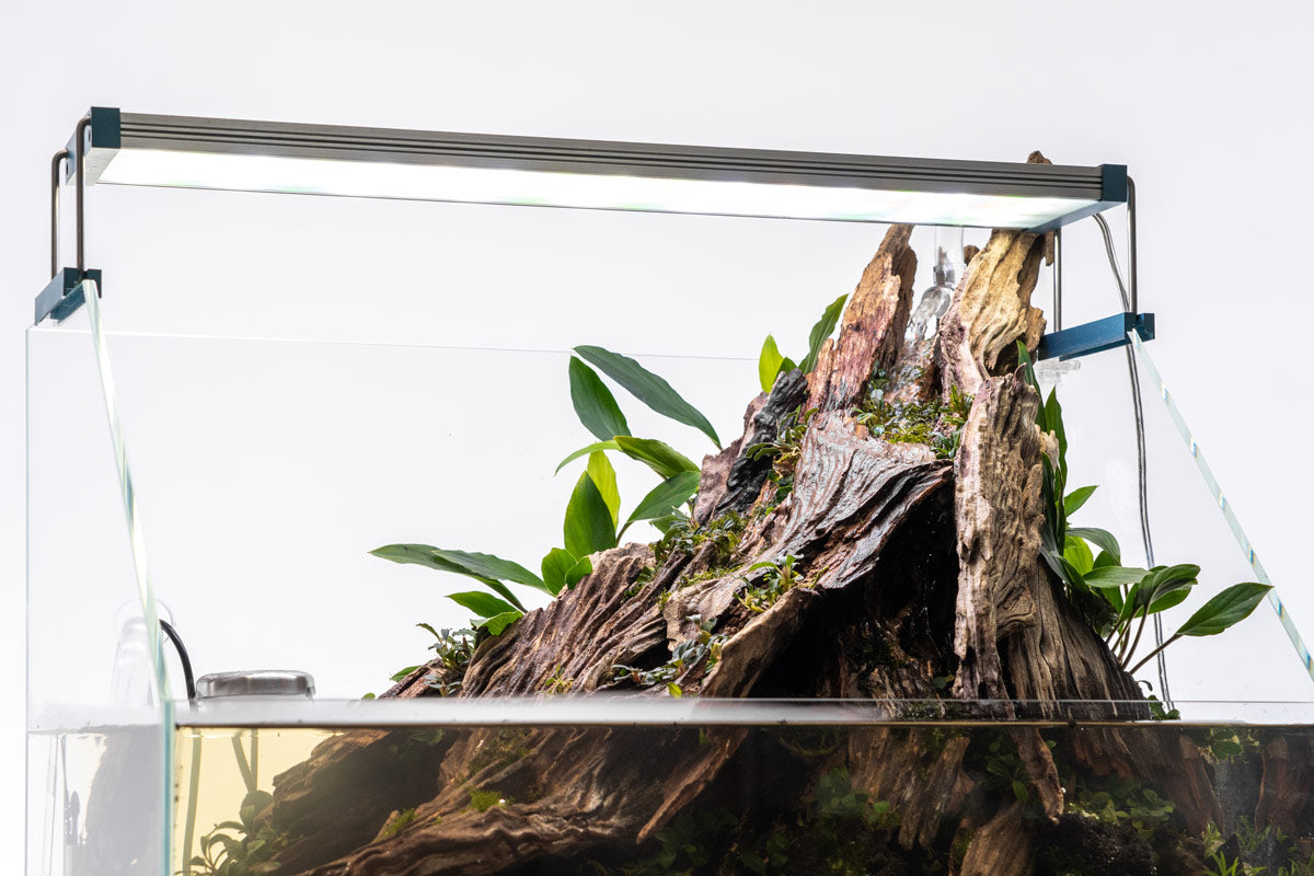 Ultum Nature Systems Paludarium Starter Kit | Shop Tank Bundles - Glass Aqua