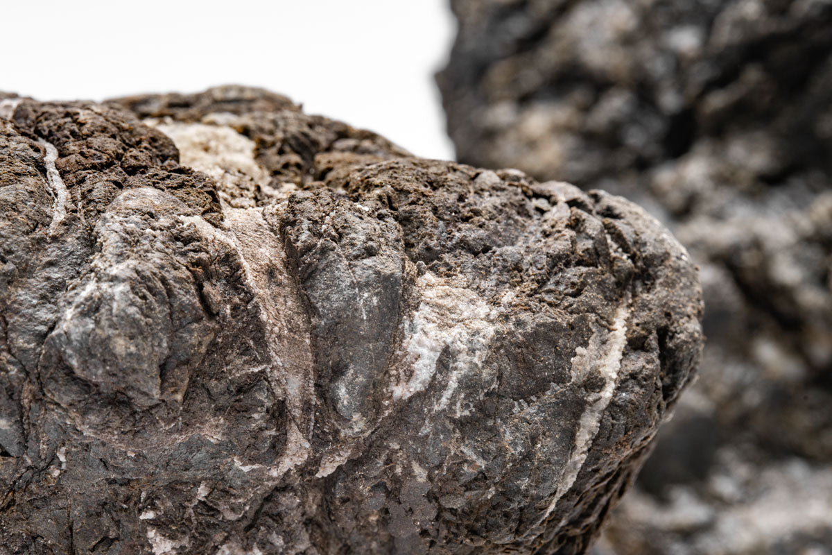 Goliath Stone Aquascaping Rock | Shop Planted Tank Hardscape - Glass Aqua