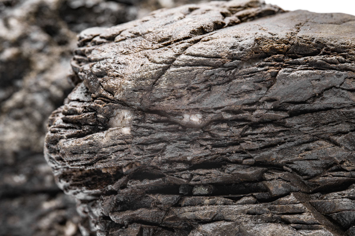 Goliath Stone Aquascaping Rock | Shop Planted Tank Hardscape - Glass Aqua