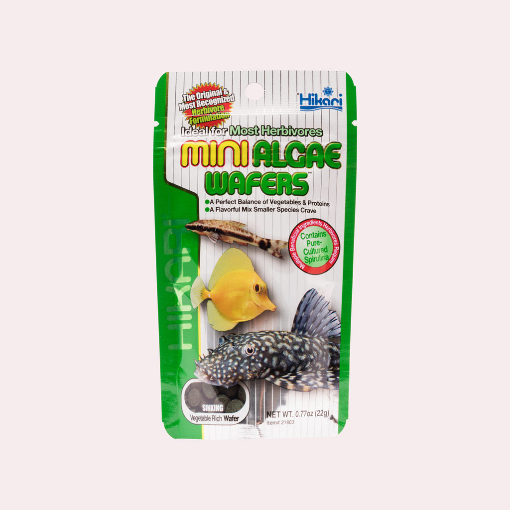 Hikari Mini Algae Wafers - Glass Aqua