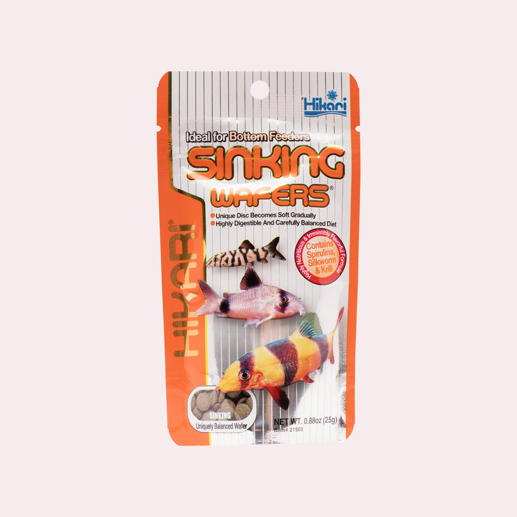 Hikari Sinking Wafers for Bottom Feeding Fish - Glass Aqua