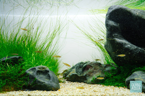 Natural Aquascape Aquarium Rocks and Stones – Glass Aqua