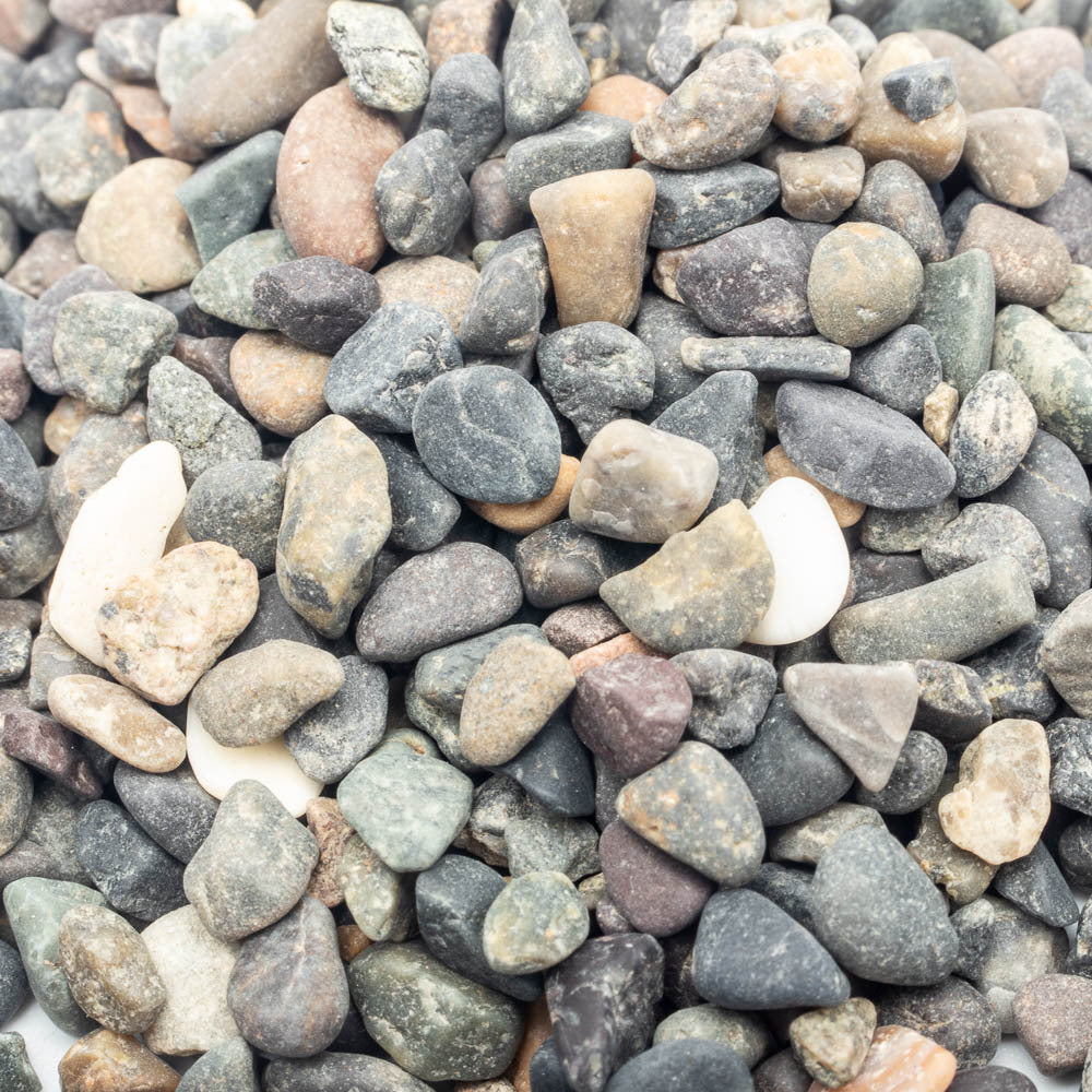 Capcouriers Small River Rocks (Pebbles) - Natural Aquarium Rocks -  Decorative Gravel - Smooth Stones - About .5 - .75 inches - 2 LBS