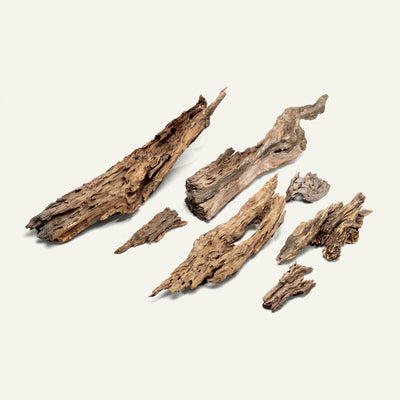 Shop Planted Aquarium Forest Driftwood Hardscape - Glass Aqua