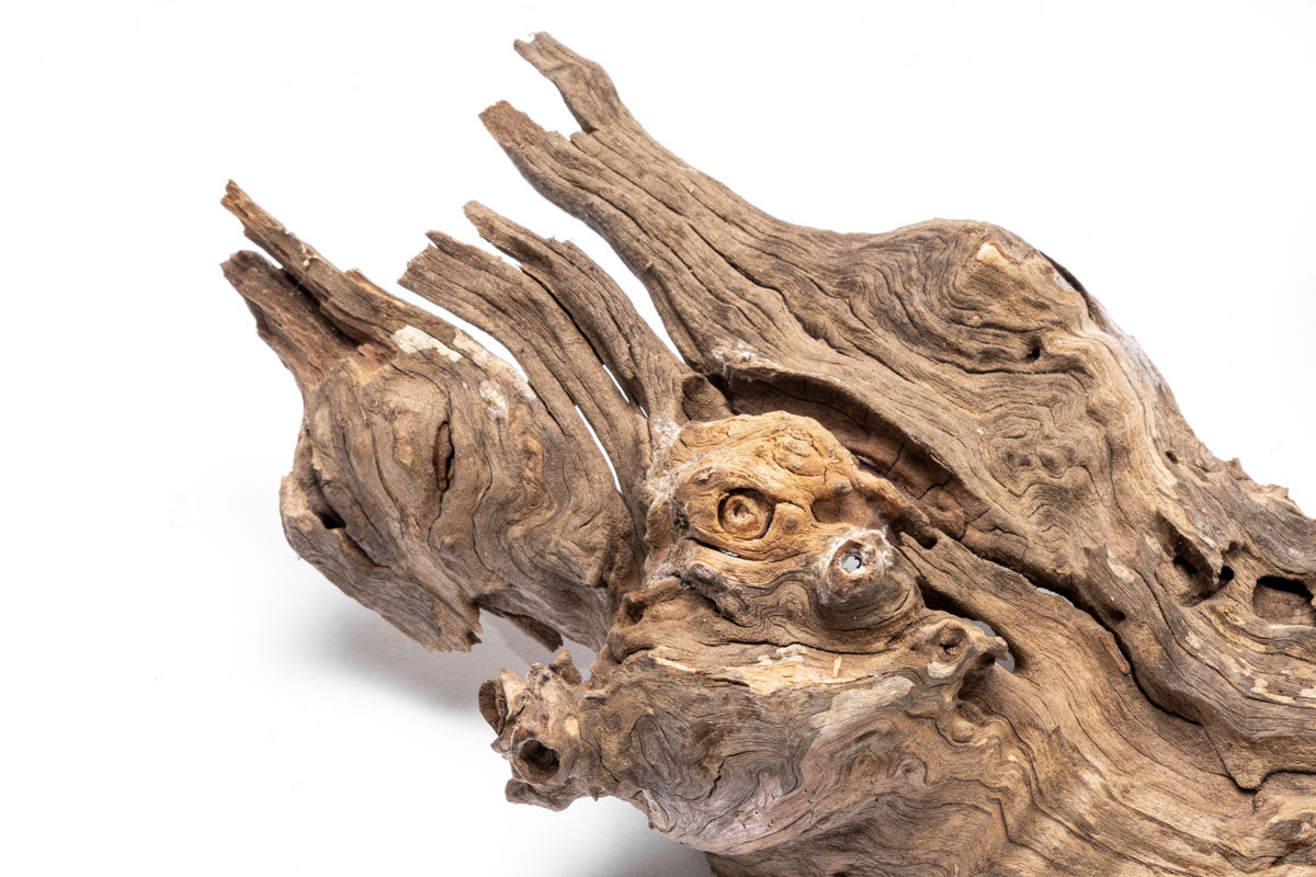 Shop Planted Aquarium Forest Driftwood Hardscape - Glass Aqua