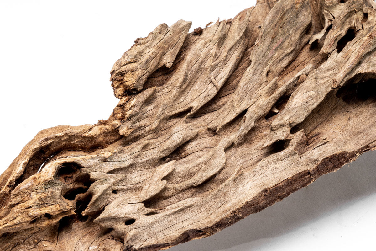 Shop Planted Aquarium Forest Driftwood Hardscape - Glass Aqua