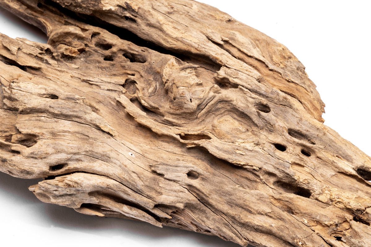 Shop Planted Aquarium Forest Driftwood Hardscape - Glass Aqua