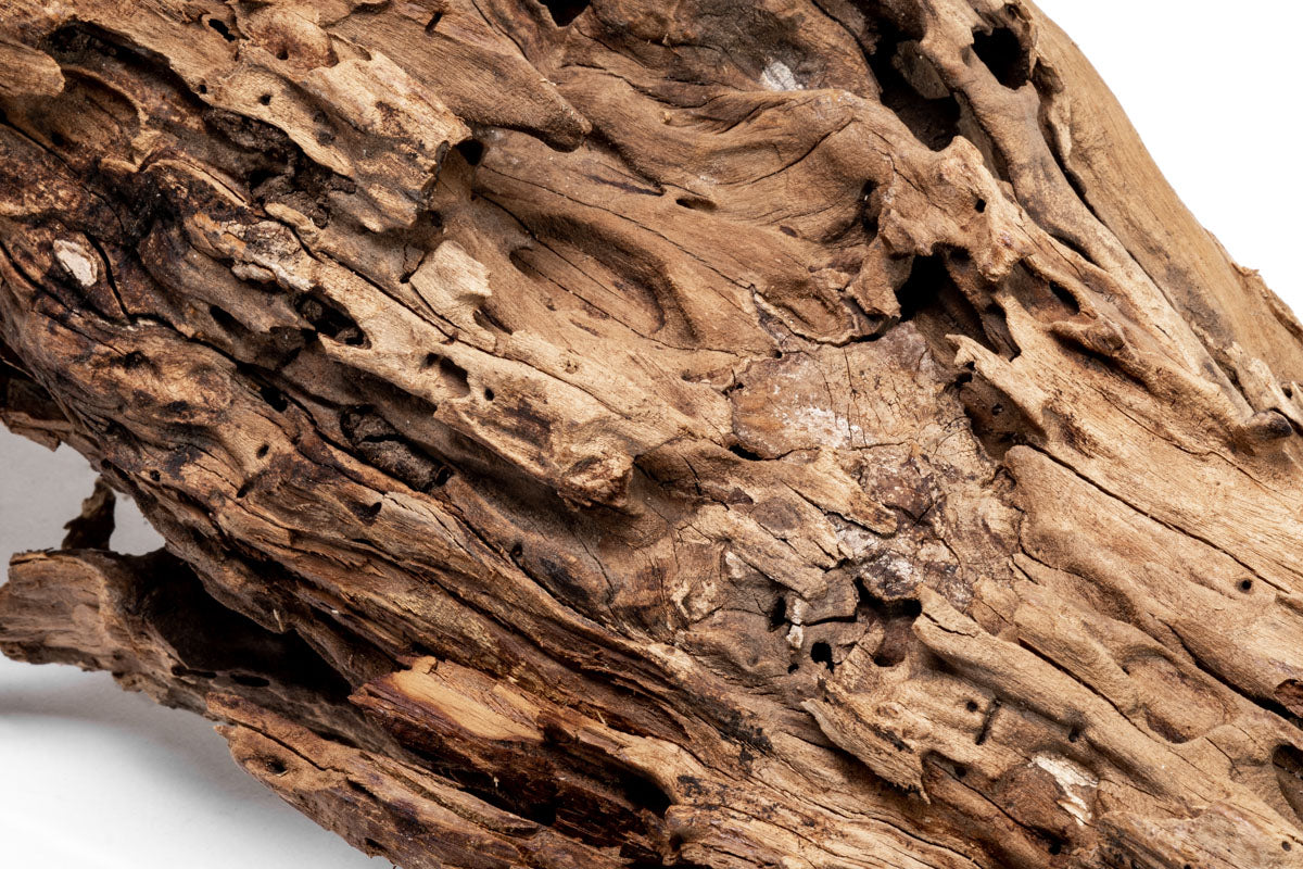 Shop Planted Aquarium Forest Driftwood Hardscape - Glass Aqua
