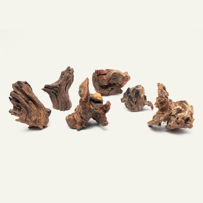 Shop Planted Aquarium Malaysian Driftwood Hardscape - Glass Aqua