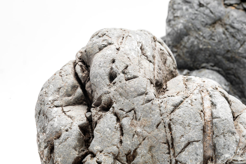 Marsh Stone Aquascaping Rock | Shop Planted Tank Hardscape - Glass Aqua