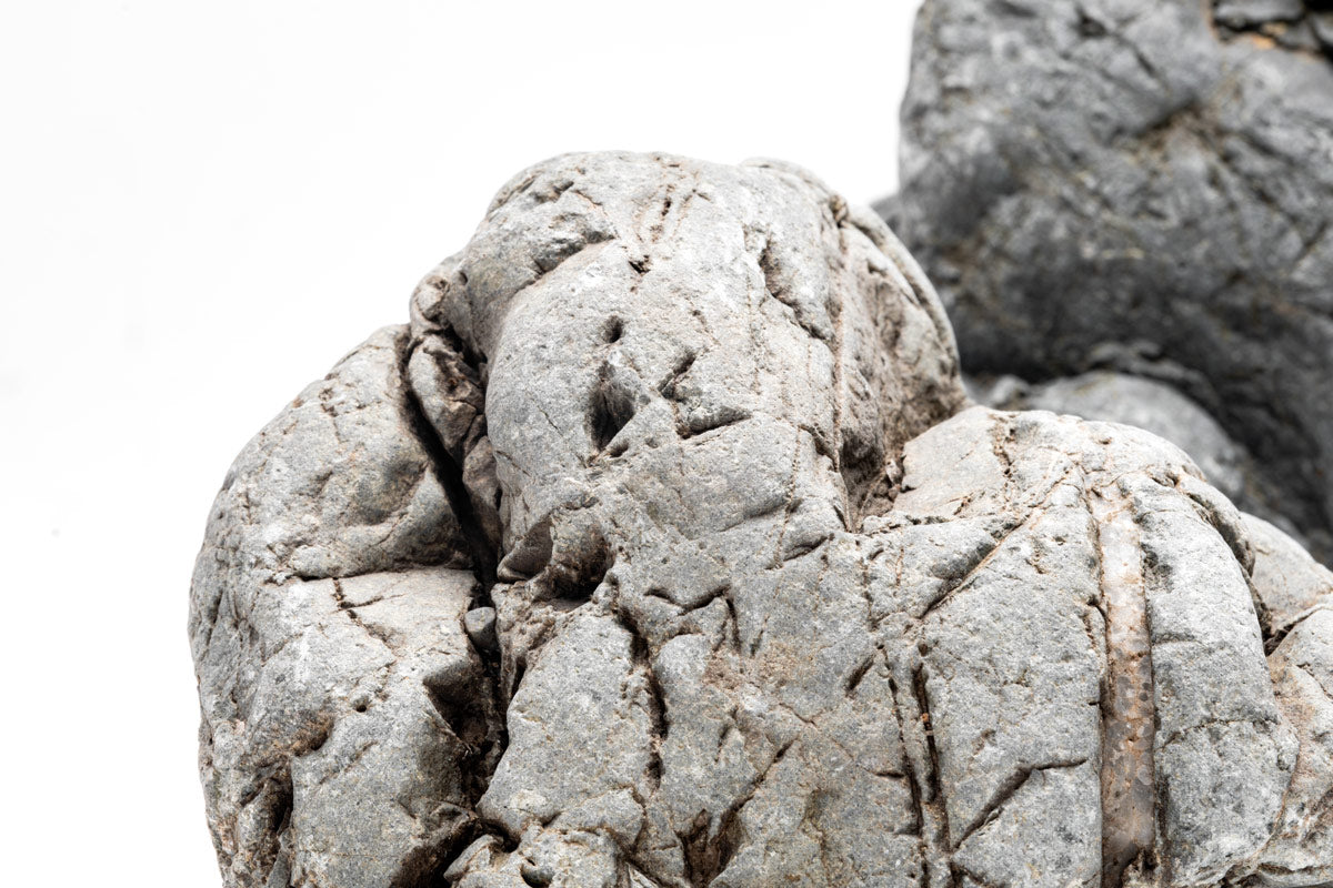 Marsh Stone Aquascaping Rock | Shop Planted Tank Hardscape - Glass Aqua
