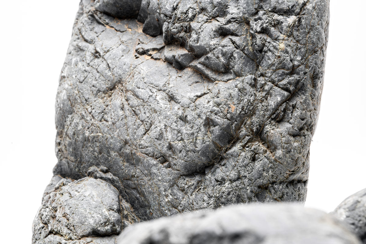 Marsh Stone Aquascaping Rock | Shop Planted Tank Hardscape - Glass Aqua