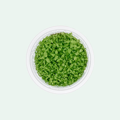 Micranthemum Monte Carlo - Carpet Aquatic Plant | Glass Aqua
