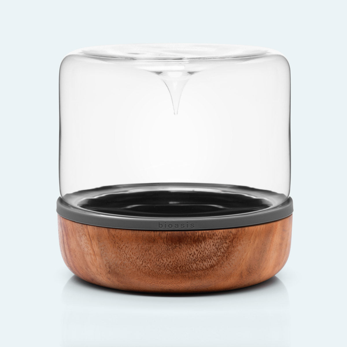 Natura Bioasis Terrarium