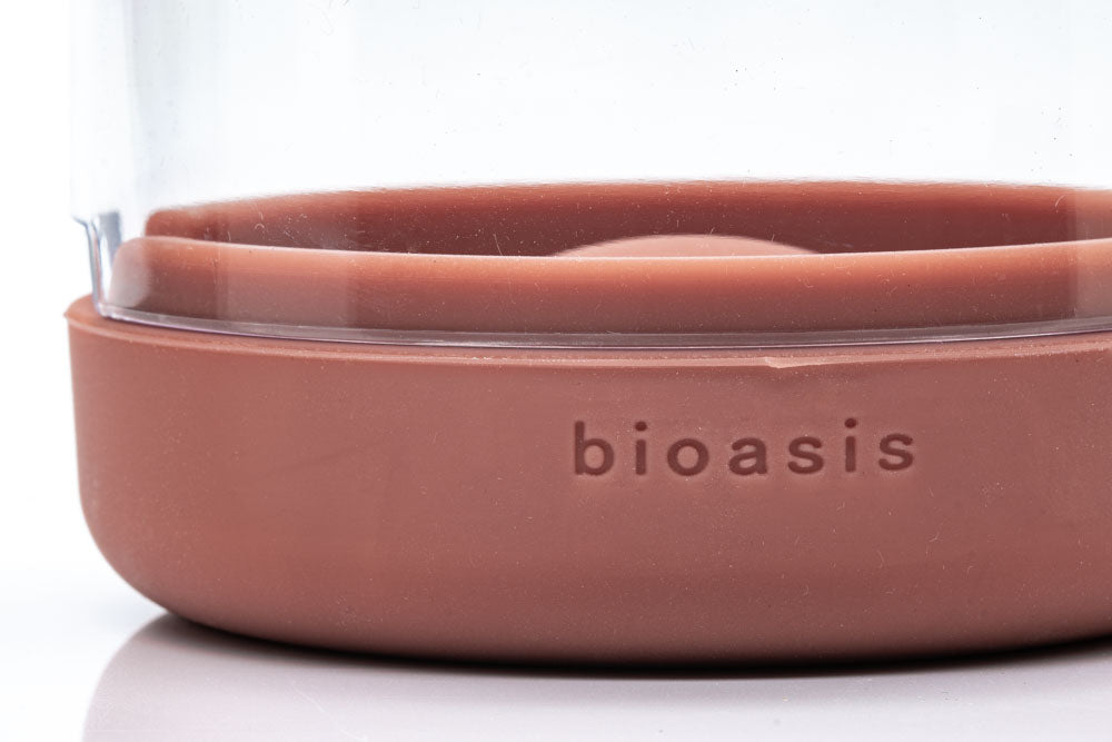 Natura Bioasis Terrarium S - Glass Aqua