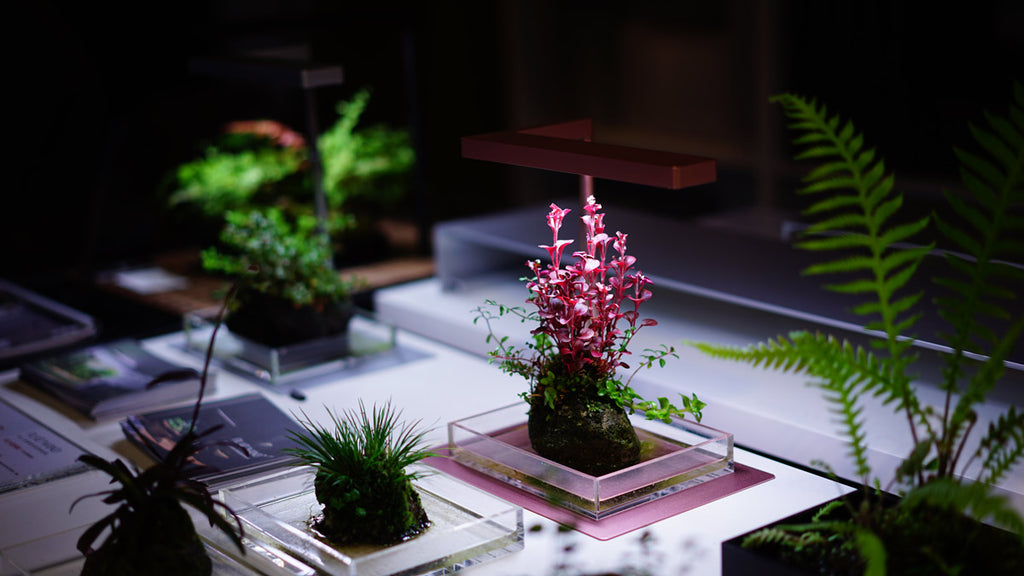 ONF Flat Nano Stand LED Aquarium Light | Shop LED Lights - Glass Aqua