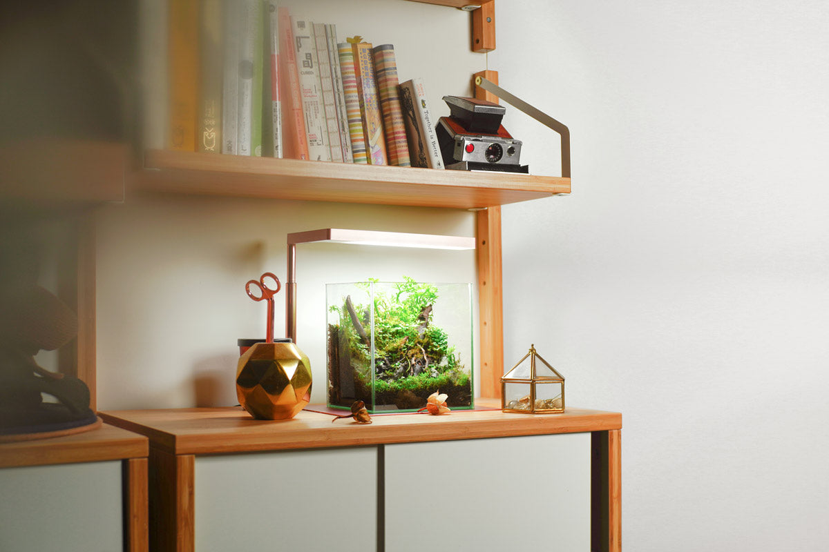 ONF Flat Nano Stand LED Aquarium Light | Shop LED Lights - Glass Aqua