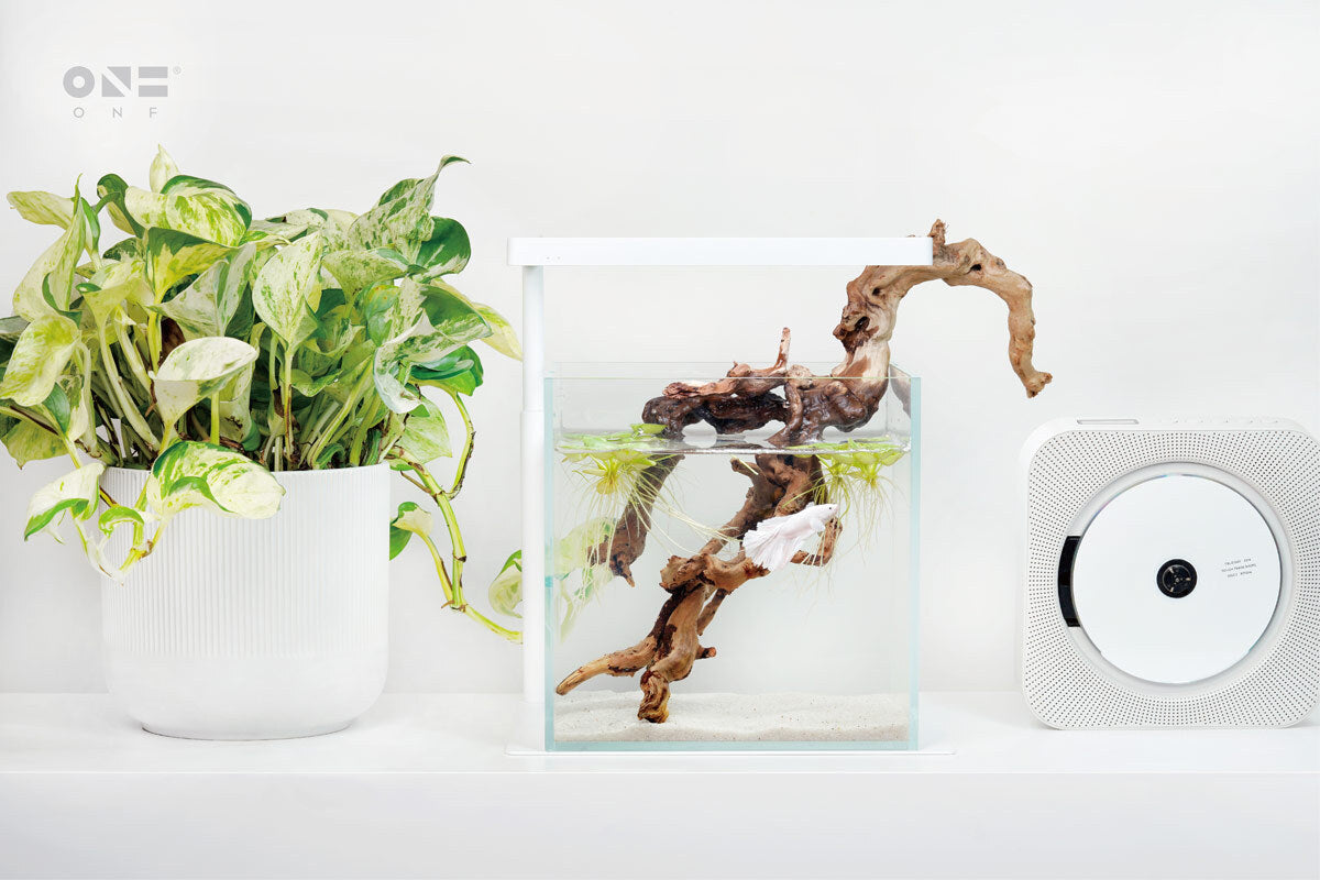 ONF Flat Nano Stand LED Light for Desktop Plant and Nano Aquarium