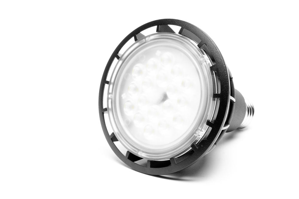 ONF Aditya Plant Lamp LED Light - Glass Aqua