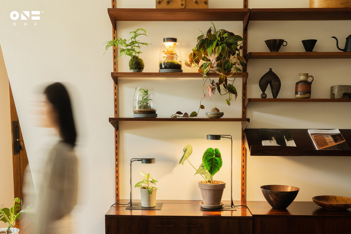 ONF Mist-O Light and Stand Set | Shop Planted Tank Lights - Glass Aqua