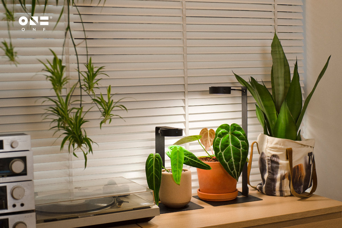 ONF MIST O Lighting Stand Kit | Shop LED Lighting Stands - Glass Aqua