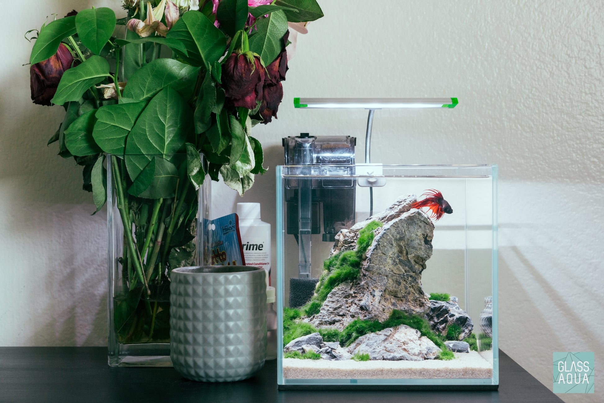 Seiryu Stone - Glass Aqua