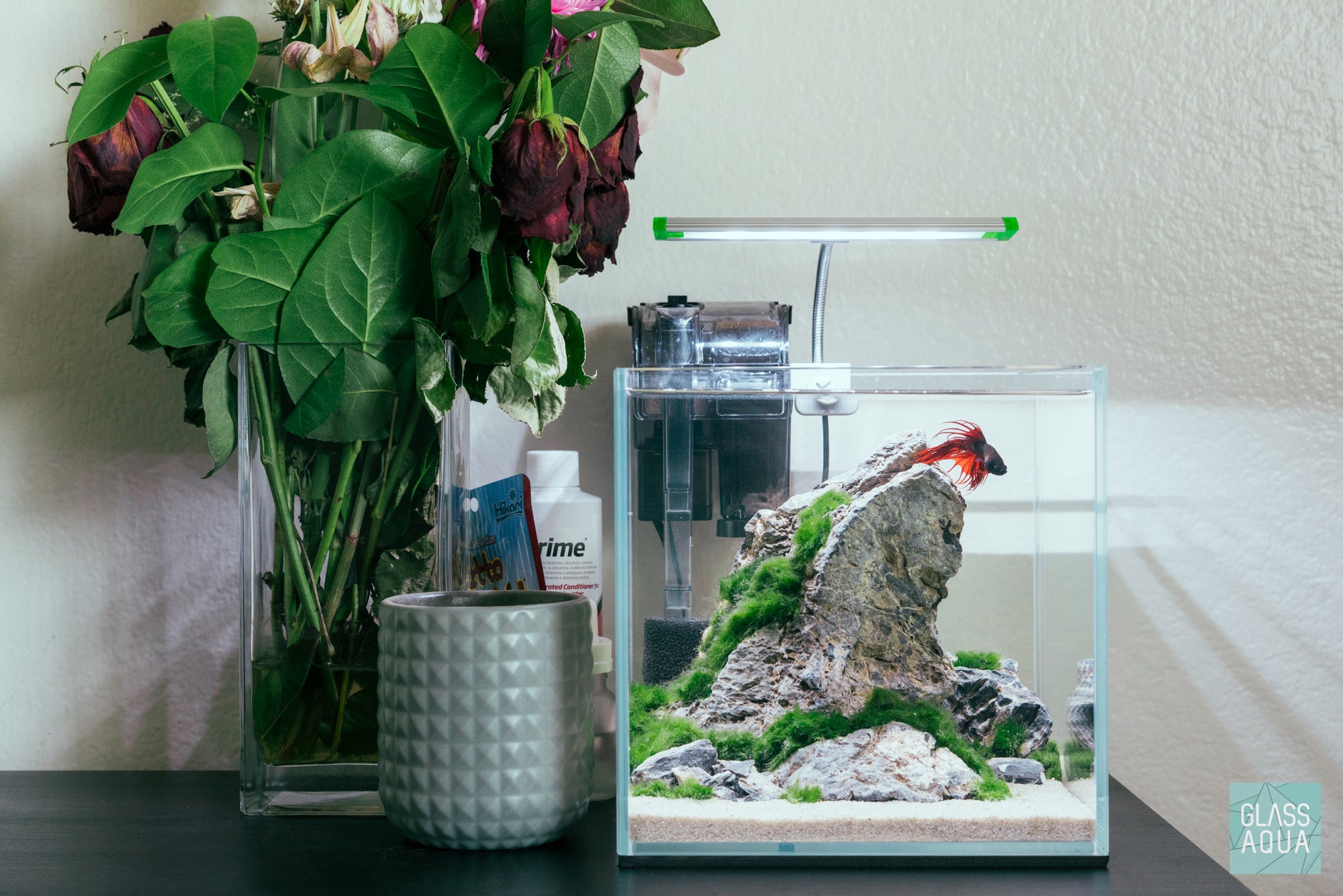 Seiryu Stone - Glass Aqua