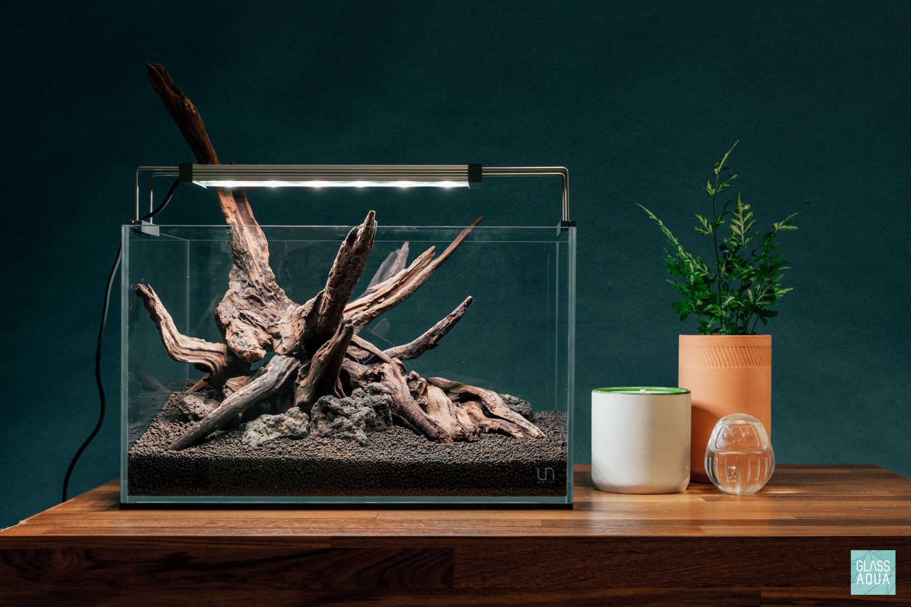 Glass Aqua Quick Scapes | Custom Aquascape Layout for Planted Tanks